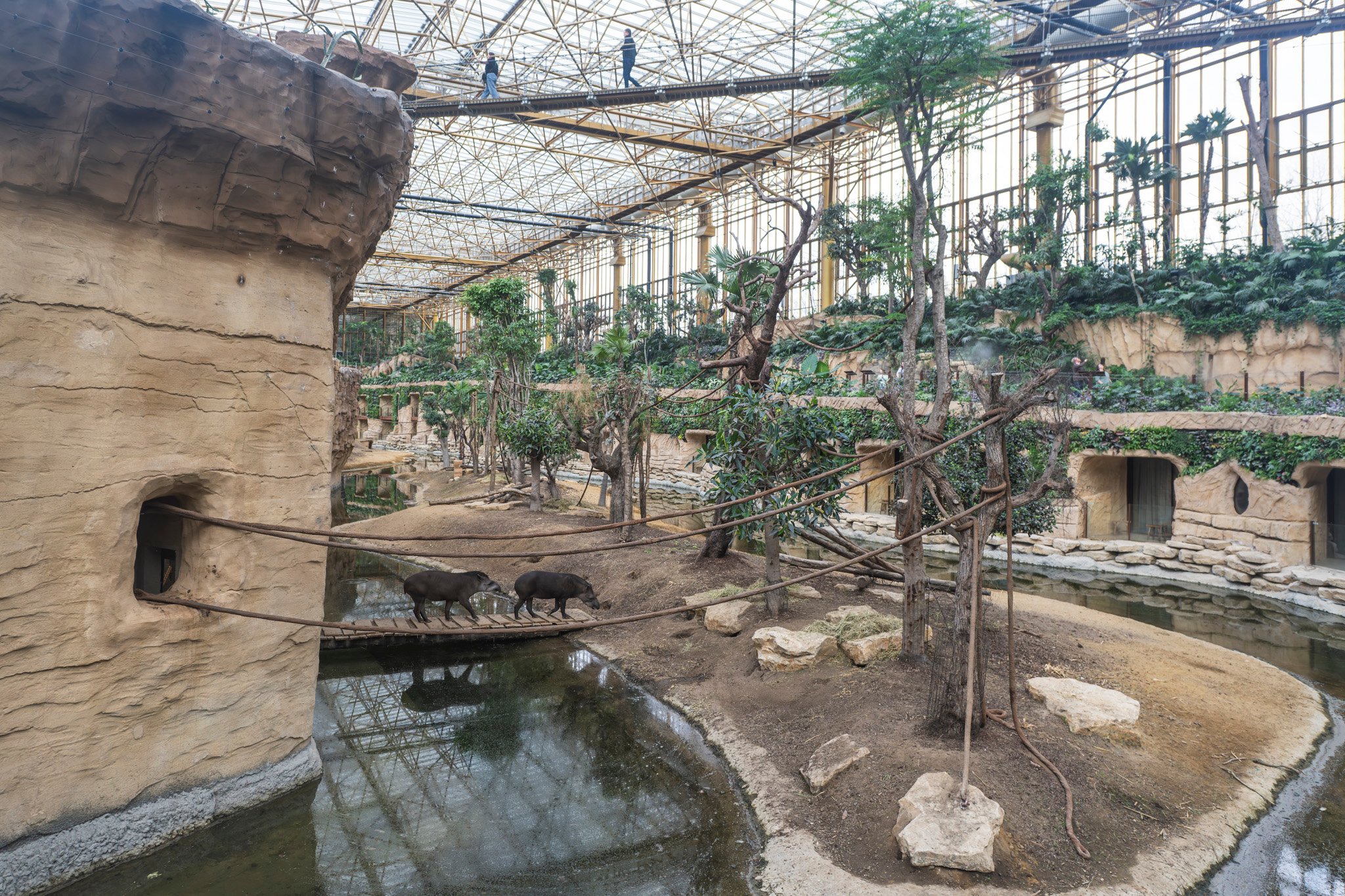 20260330_Circet_Pairi Daiza_WEB_©Jeroen Willems_052
